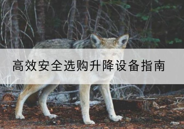 巴宜升降货梯厂家推荐-*安全选购升降设备指南