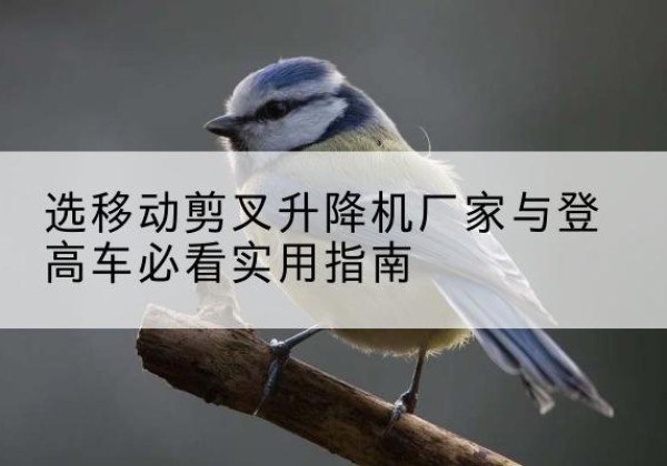 巴宜电动升降机厂家-选移动剪叉升降机厂家与登高车必看实用指南