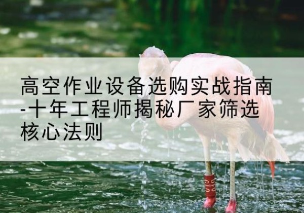 巴宜剪叉式升降机厂家-高空作业设备选购实战指南-十年工程师揭秘厂家筛选核心法则